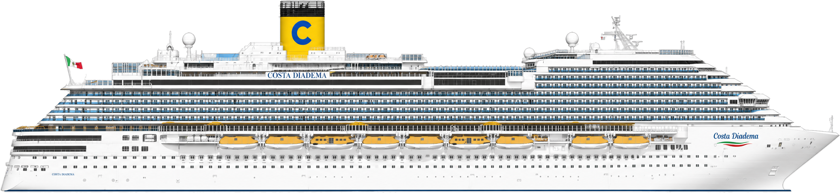 Diadema side profile