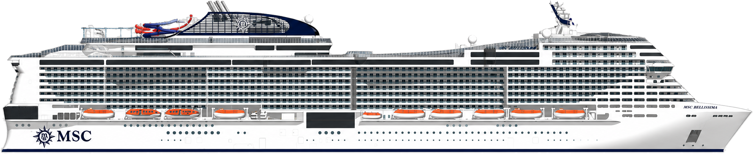 Bellissima side profile