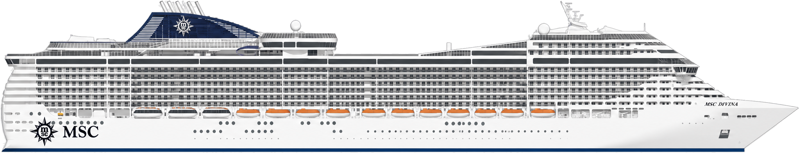 Divina side profile