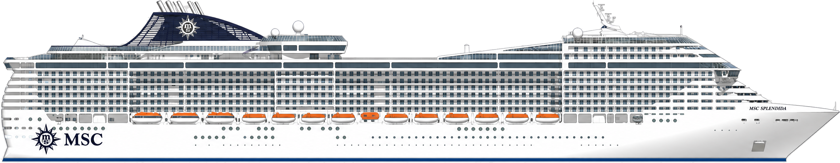 Splendida side profile