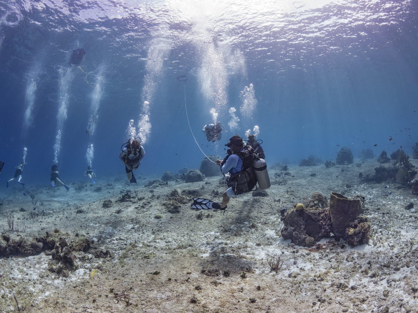 Divers over a coral reef off Cozumel