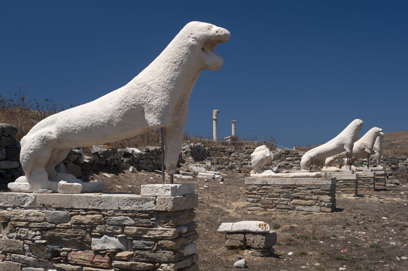 The Terrace of the Lions on Delos