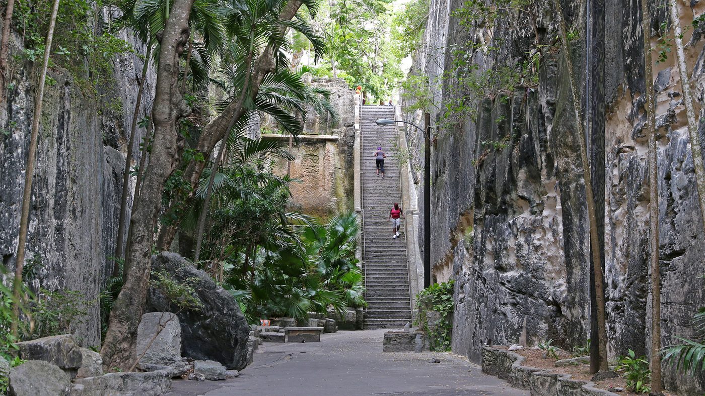 The Queen’s Staircase in Nassau, a limestone stairway between rock walls and green trees